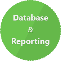 Database and Reporting